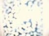 |ݸЅRƼ޹˾