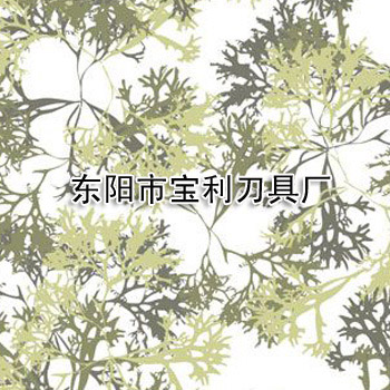 ӡo(w)