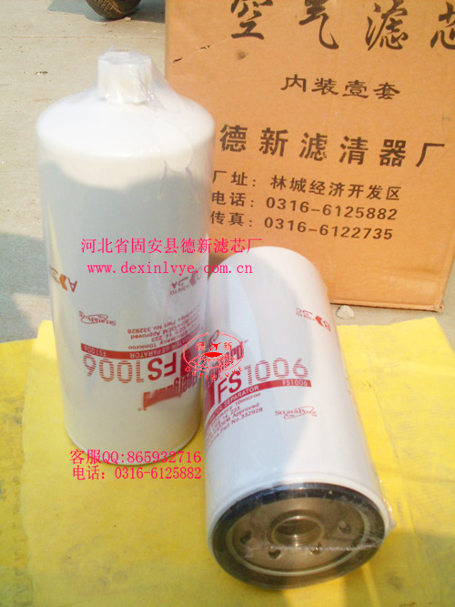 FS1006мӞV