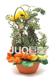 ĸ