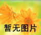 270-300DƯ׽z