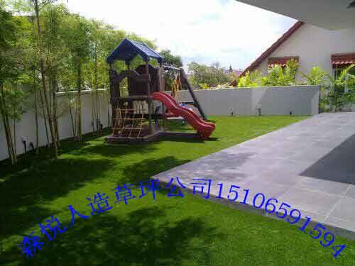 PE+PP2CM칤̾Gƺ