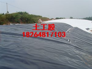 |Ĥ|BĤ|HDPE