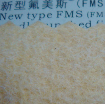 ˹FMSᘴ̚ 