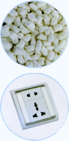 PPȼĸ